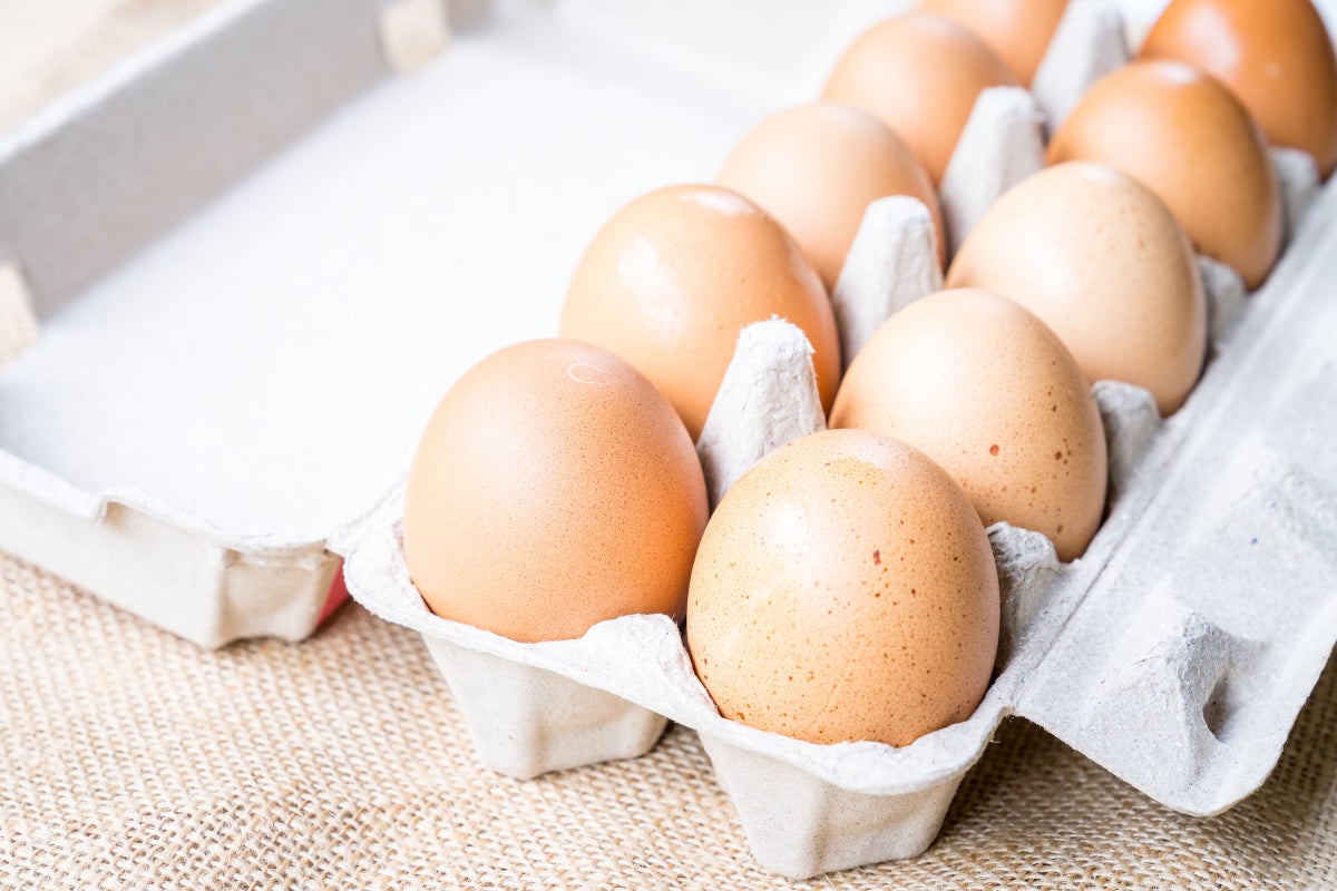 FDA Issues Warning Against Consuming Recalled Salmonella-Contaminated Eggs – Mirror Brief